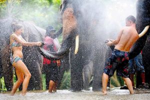 Thailand Travel and Team Building Tour Packages