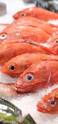seafood buffet taipei Addiction Aquatic Development
